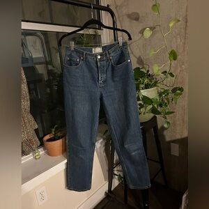 Everlane 90’s Cheeky Jean Size 27 Regular in Indigo